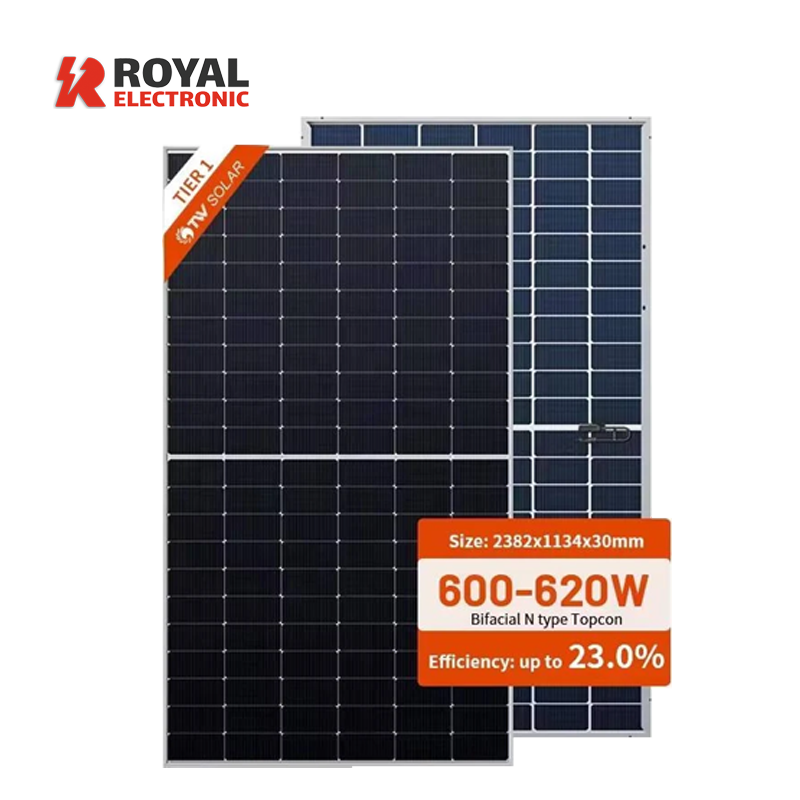 TW Solar 620W Bifacial